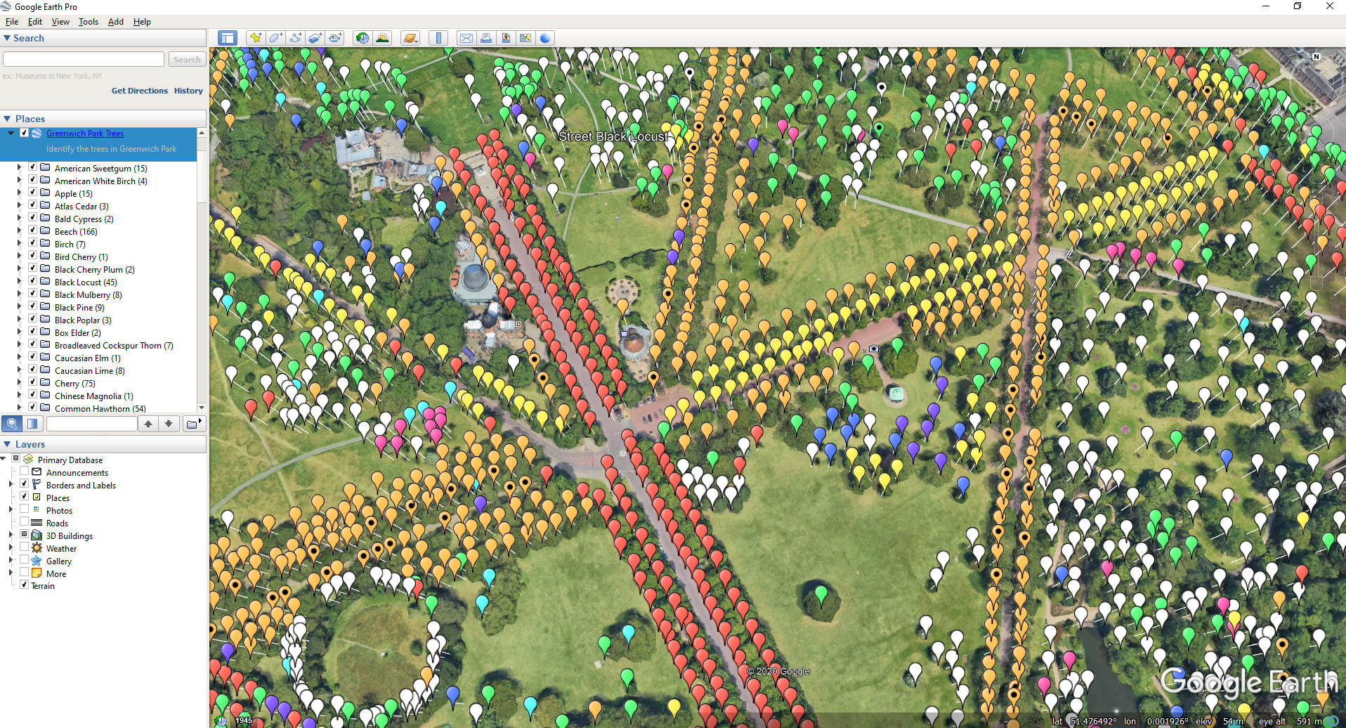 Trees in Google Eath Pro